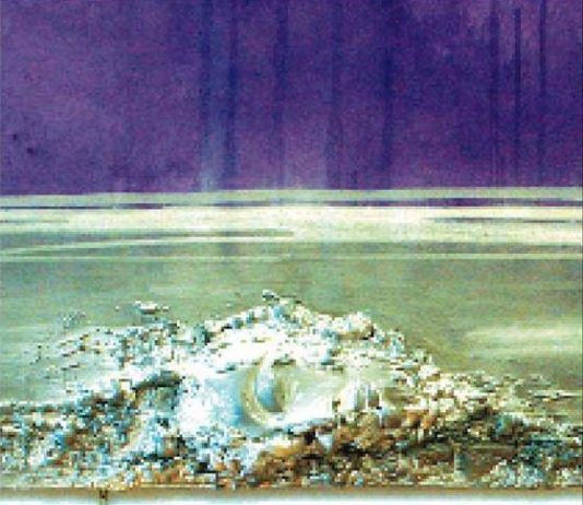 Allucinazione: esperienza estetica