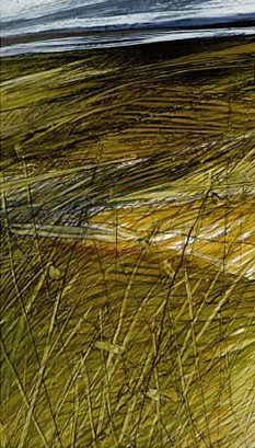 Erika Fossati – Silenzi