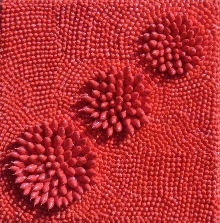 Vittorio Valente – Bio-geometrie