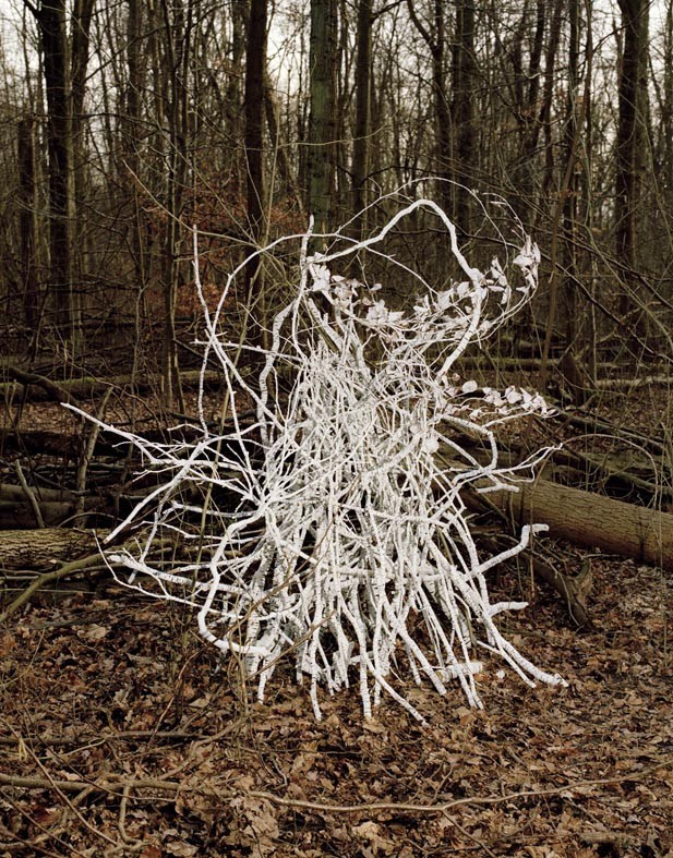 Wundergarten. Il giardino delle meraviglie: innesti tra arte e botanicahttps://www.exibart.com/repository/media/eventi/2007/07/wundergarten.-il-giardino-delle-meraviglie-innesti-tra-arte-e-botanica.jpg