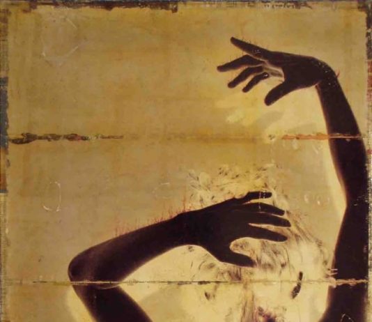 Contemporaneo#1 – Hyena