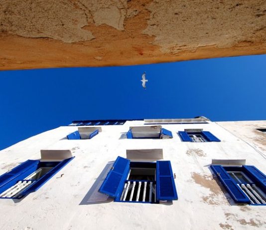 2008 … infinite emozioni!