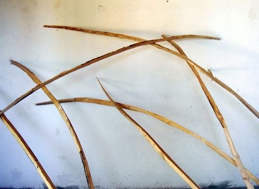 Dario Arcamone / John Taylor