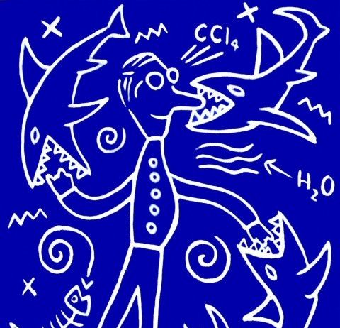 Pablosax – Acquari Pablosax – Acquari