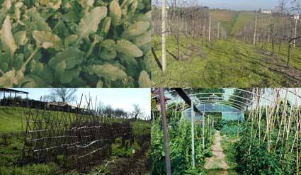 Alfredo Pirri – Misura ambiente Alfredo Pirri – Misura ambiente