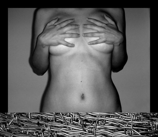 Alice Arisu – Ars non erubescit (L’arte non arrosisce)