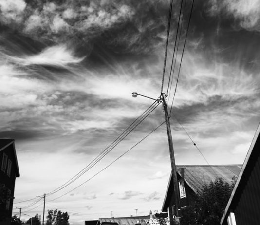 Fabrizio Zampetti – Northern white