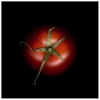 Luca Caddeu – Cibo Luca Caddeu – Cibo