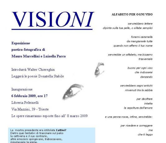 Mauro Marcellini / Luisella Pacco – Visioni