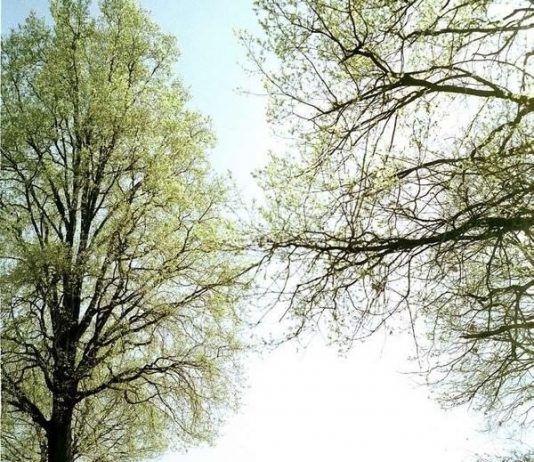 Ada Sola – Il segno di me. Foto & video 1979-2003