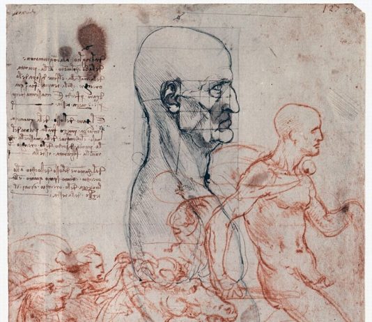 Leonardo. Dagli studi di proporzioni al Trattato della Pittura