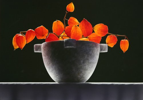 Profili d’Artista 3/ Ottorino De Lucchi – Profumi dipinti