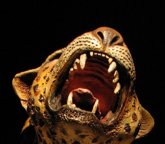 Rabarama – Dream of Transformation