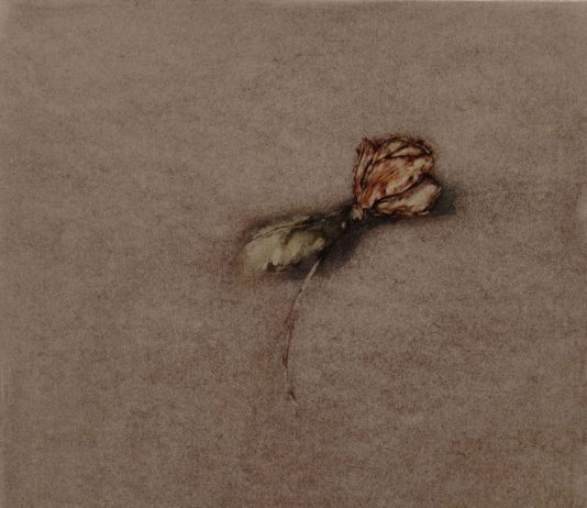 Alessandro Nocentini – Dalle acque del fiume o dal fragile incanto di uno stelo