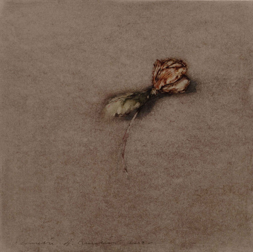 Alessandro Nocentini – Dalle acque del fiume o dal fragile incanto di uno stelohttps://www.exibart.com/repository/media/eventi/2007/12/alessandro-nocentini-8211-dalle-acque-del-fiume-o-dal-fragile-incanto-di-uno-stelo.jpg