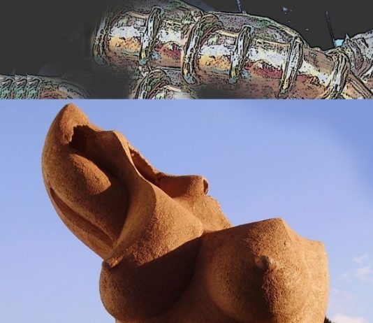 Elena Modelli / Lietta Morsiani  – Onde trasversali