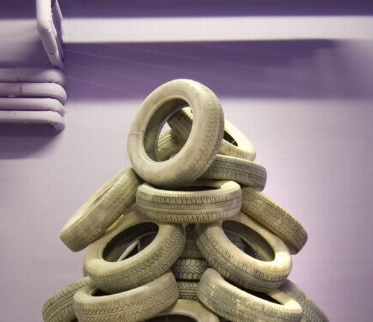 Emilio Antinori – Ri-albero