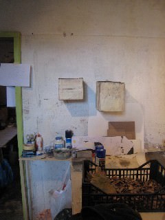 Lawrence Carroll & Steve Riedell – A conversation between friends… Lawrence Carroll & Steve Riedell – A conversation between friends…