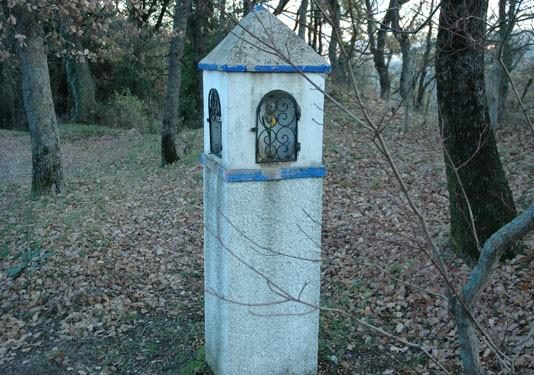 Michela Pozzi – Campo d’attenzione transitorio