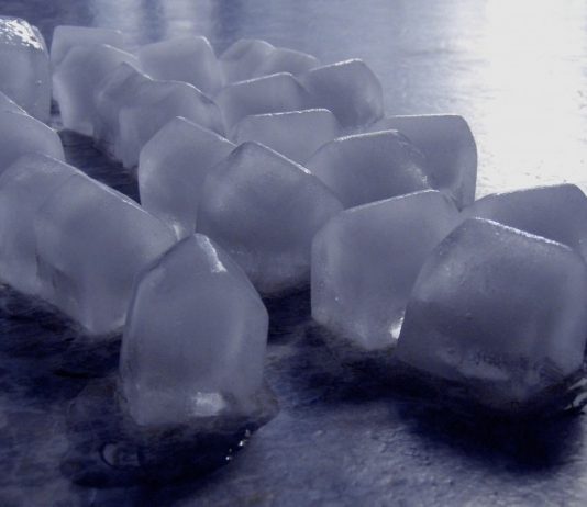 Trasforma. Arte e città sostenibile