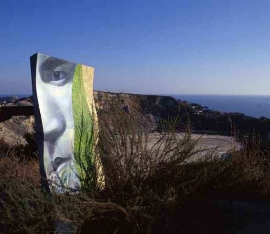 Vincenzo Aulitto – La percezione delle differenze Vincenzo Aulitto – La percezione delle differenze