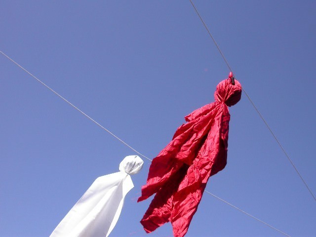 Carlo Maria Maggia – In difesa dell’agricolturahttps://www.exibart.com/repository/media/eventi/2008/01/carlo-maria-maggia-8211-in-difesa-dell8217agricoltura.jpg