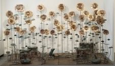 Valerio Saltarelli Savi / Mario Branca