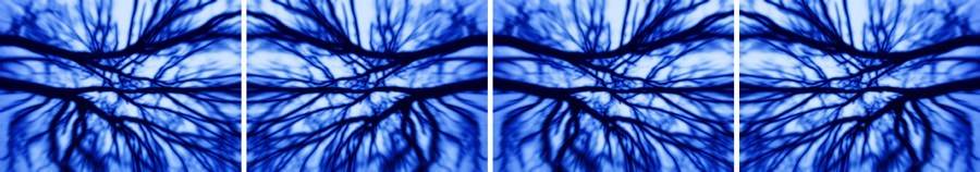 Bianco-Valente – Visibile invisibilehttps://www.exibart.com/repository/media/eventi/2008/02/bianco-valente-8211-visibile-invisibile.jpg