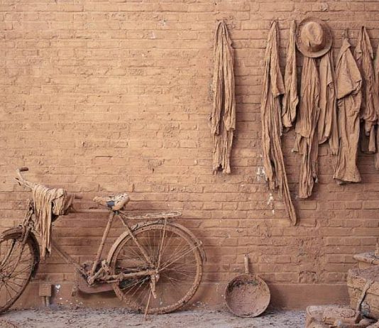 Chen Zhen – Il corpo come paesaggio Chen Zhen – Il corpo come paesaggio