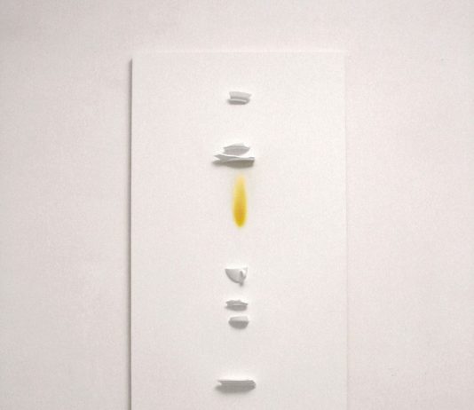 Doppio peso Doppio peso