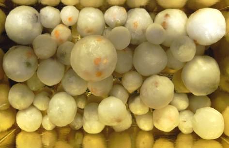 Elena Mezzadra – L’opera incisa 1969-2007