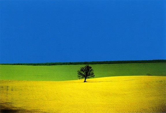 Franco Fontana – Ancora paesaggihttps://www.exibart.com/repository/media/eventi/2008/02/franco-fontana-8211-ancora-paesaggi.jpg