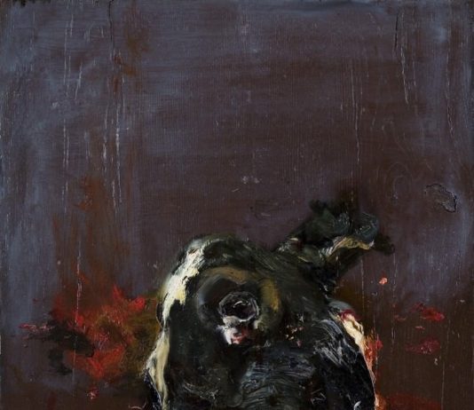 Giancarlo Vitali – Ritratti di pollame, carne, rose e girasoli Giancarlo Vitali – Ritratti di pollame, carne, rose e girasoli