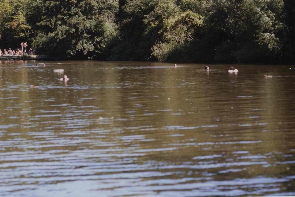 Marina Ballo-Charmet – Parcohttps://www.exibart.com/repository/media/eventi/2008/02/marina-ballo-charmet-8211-parco.jpg