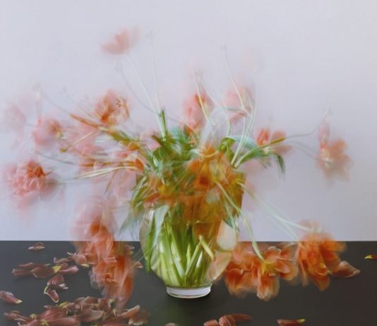 Michael Wesely – Still Life