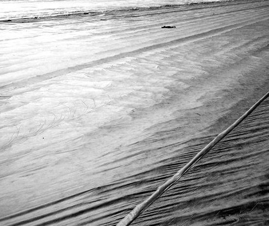 Percezioni ipermedia: le Strade di Tommaso Ottonieri