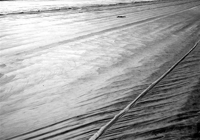 Percezioni ipermedia: le Strade di Tommaso Ottonierihttps://www.exibart.com/repository/media/eventi/2008/02/percezioni-ipermedia-le-strade-di-tommaso-ottonieri.jpg