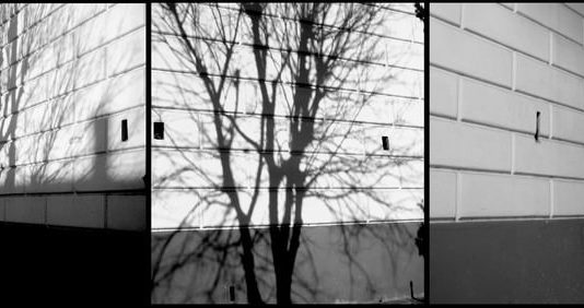 Ritorno alla Grande Via