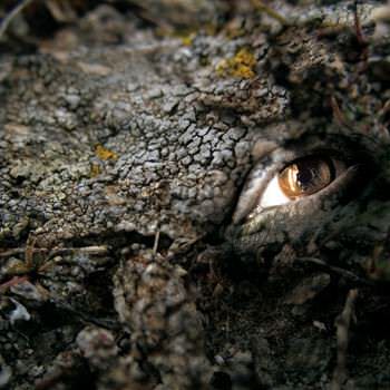 Rossella Fava –  NaturalSoul