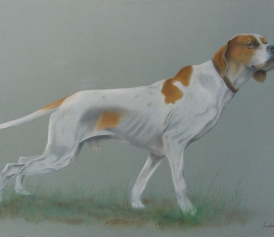 Kriss Guenzati  / Michele Dubini – Password: Maremma