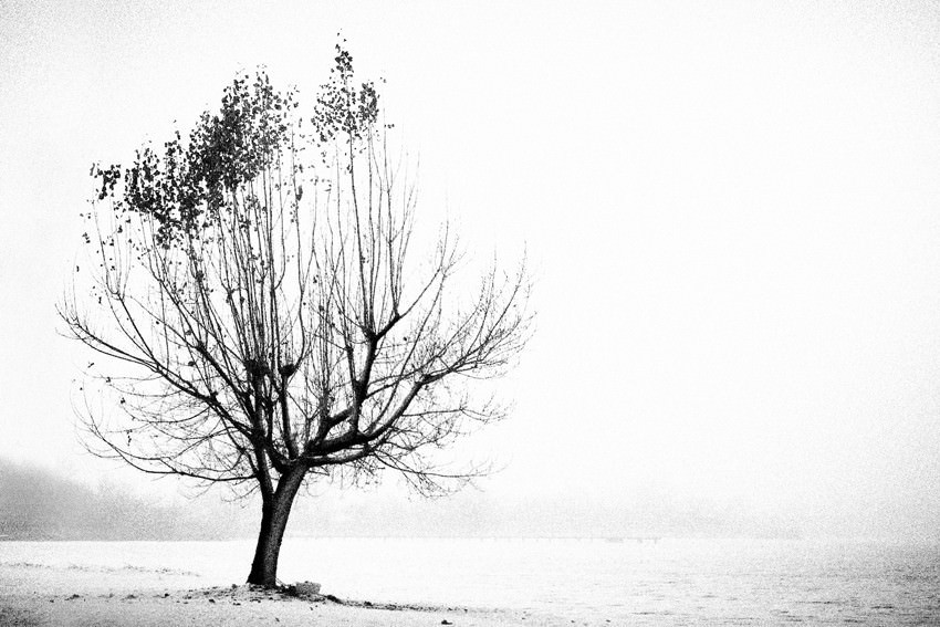 Maurizio Strippoli – MicroMìehttps://www.exibart.com/repository/media/eventi/2008/03/maurizio-strippoli-8211-micromìe.jpg