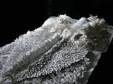 Nadia Merica Formentini – Dire… militaria