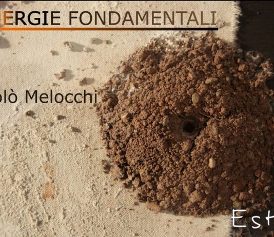 Nicolò Melocchi – Energie fondamentali Nicolò Melocchi – Energie fondamentali