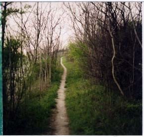 Paolo Cavinato – Spazi vuoti Paolo Cavinato – Spazi vuoti