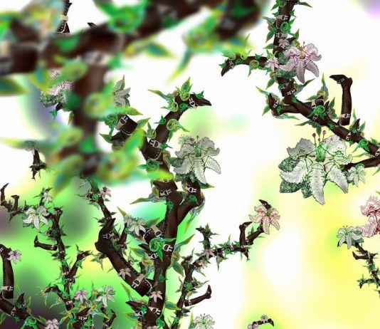 Sandra Bermudez – Illusion