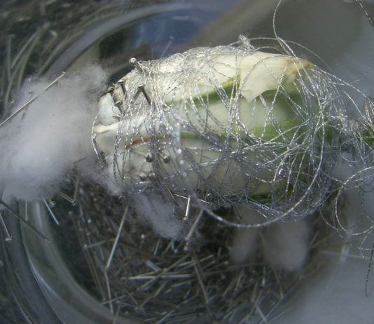 Videozoom | Videoartisti del Marocco|
Identità in Transito