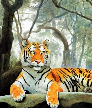 Andrea Del Pesco – Animal Kingdom