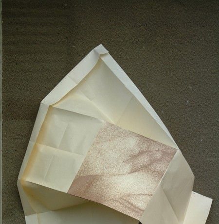 Approdi: Sandra Baruzzi – Sculture di carta Approdi: Sandra Baruzzi – Sculture di carta