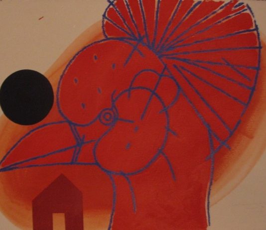 Collezione. Opere su carta