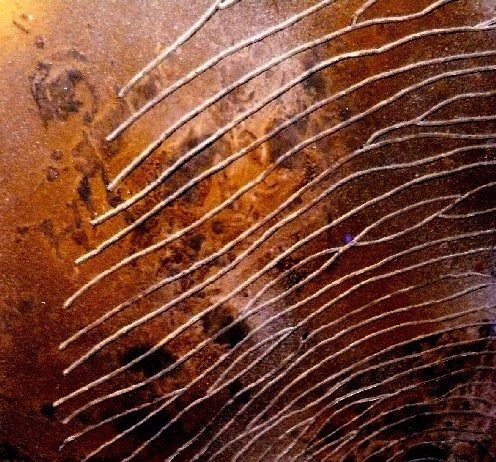 Emanuela Alfieri – Impronte
